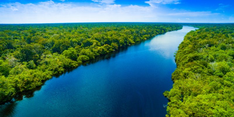 Allarme Amazzonia animali in via di estinzione