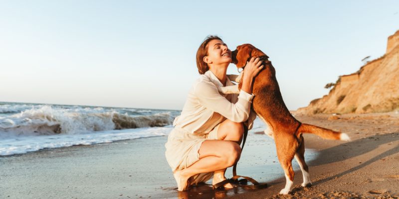 Cane al mare ecco i consigli giusti