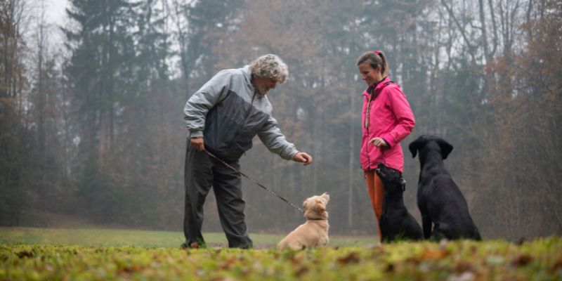 Quando rivolgersi ad un educatore per il nostro cane