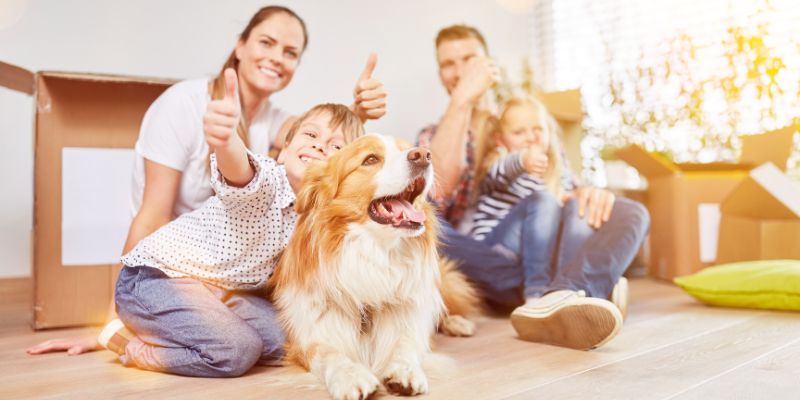 Come scegliere un cane da appartamento