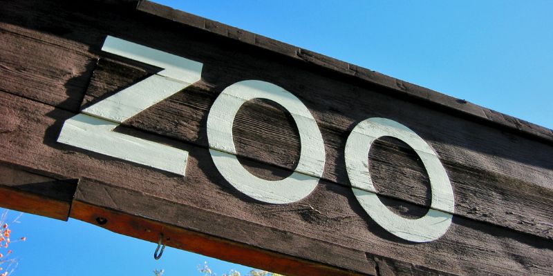 La lotta tra gli zoo di Berlino durante la Guerra Fredda