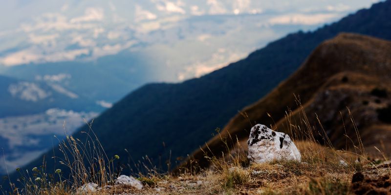 Chi sta avvelenando gli animali nel Parco dell'Abruzzo