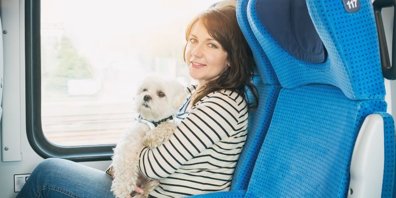 Pet gratis in treno contro l'abbandono