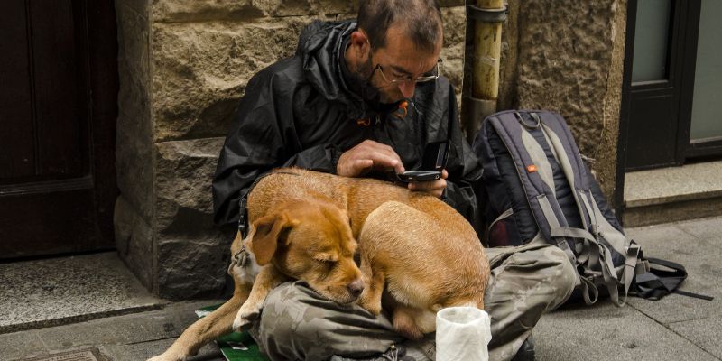 Cani e senza tetto, una relazione reciprocamente vantaggiosa