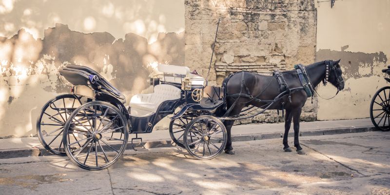Cavallo stramazza a terra mentre traina la carrozza degli sposi