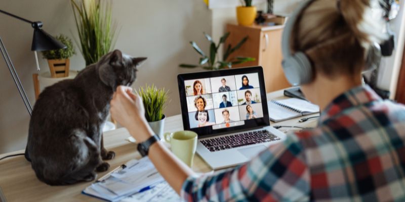 I gatti comunicano con noi anche attraverso la coda