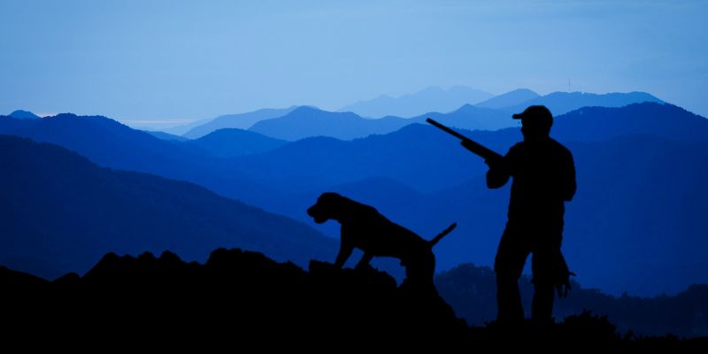 Animalisti chiedono lo stop alla caccia nelle zone alluvionate
