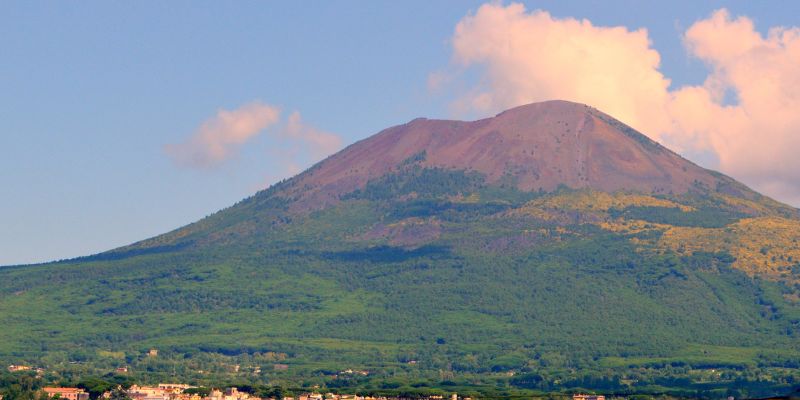 Parco del Vesuvio liberati tre gheppi salvati a giugno per strada