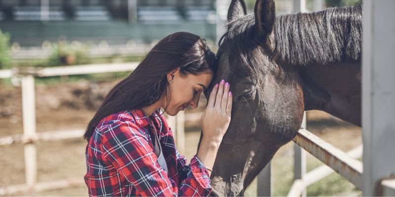 Stabilire un legame forte con un cavallo i consigli utili