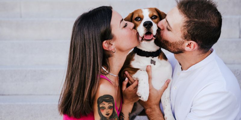 Baciare gli animali domestici, quando può essere rischioso