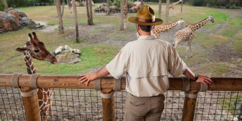 Zoo di Salisburgo rinoceronte uccide una guardiana