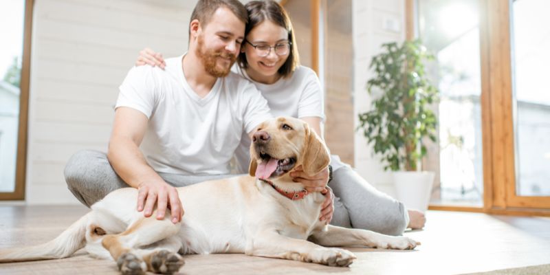 Casa in fitto e animali domestici, ecco i consigli