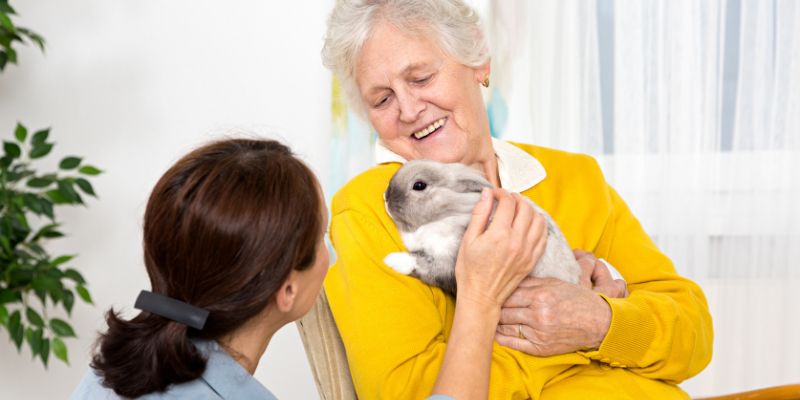 Gli animali sono una gioia tutti i benefici della pet therapy