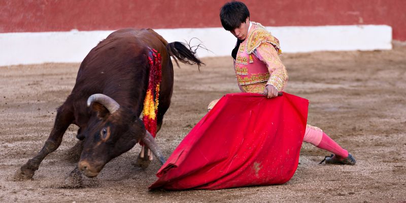 No alla corrida come Patrimonio immateriale dell’umanità Unesco