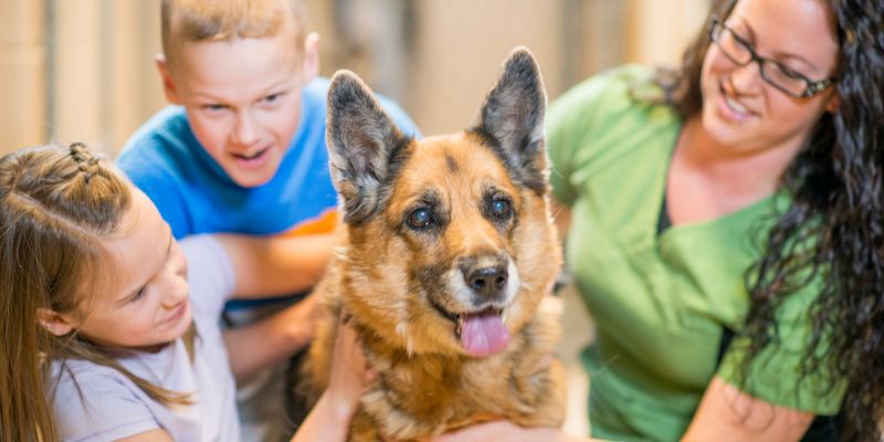 I bambini possono avere paura degli animali ecco come aiutarli