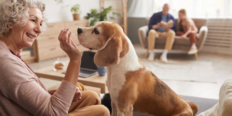 Avere un cane in casa aiuta a prevenire la demenza senile
