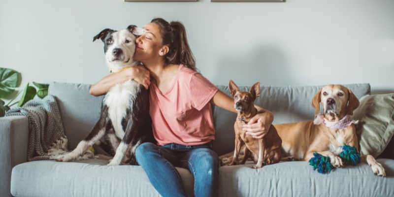 Dobbiamo tutelare il benessere dei nostri pet lo dice la legge