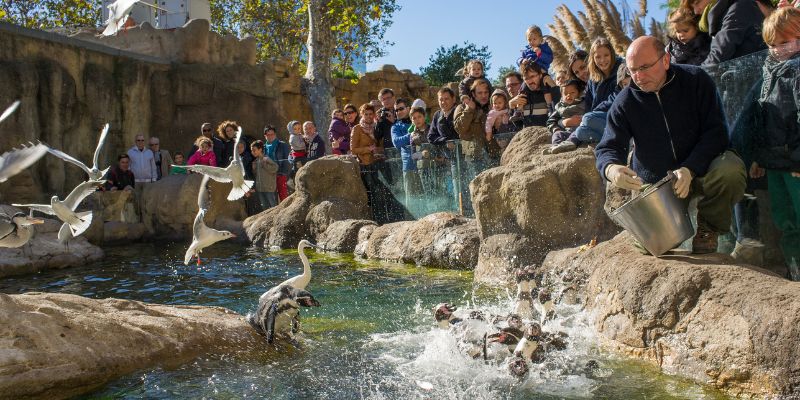 Torna a Zoomarine la Befana amica degli animali