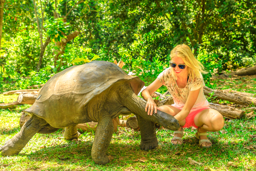 Una tartaruga gigante delle Seychelles ha compiuto 191 anni