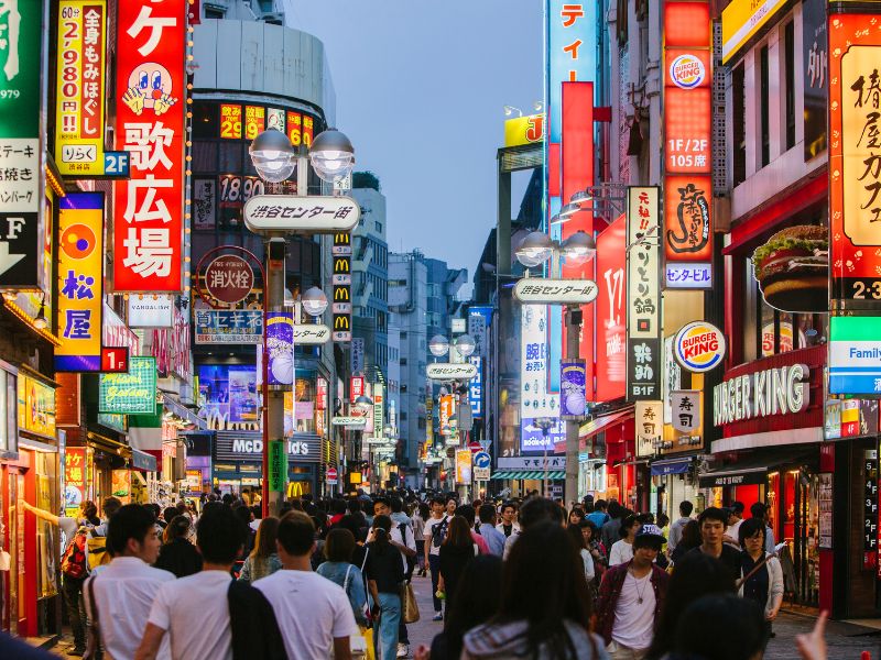 Tokyo combatte i topi con i sacchi anti-ratti