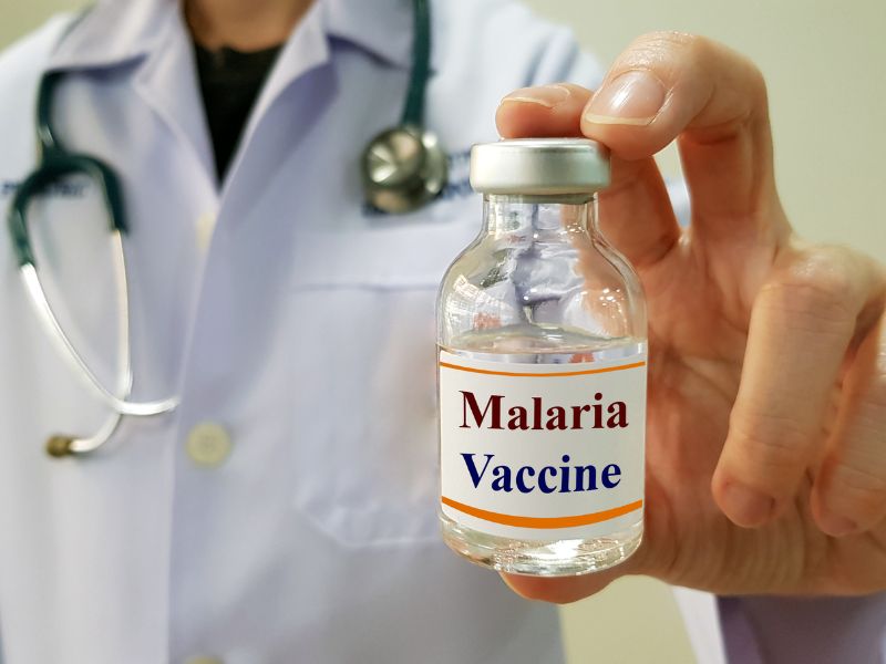 La zanzara della malaria di nuovo in Italia dopo oltre mezzo secolo