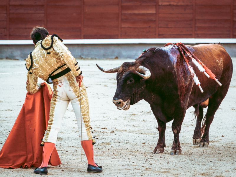 Corrida dei tori