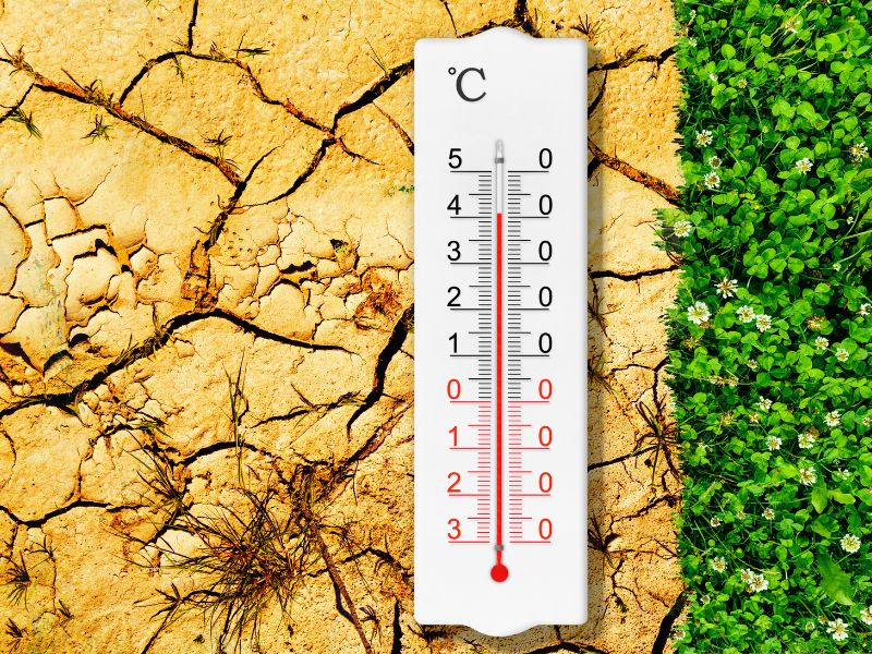 animali e cambiamento climatico
