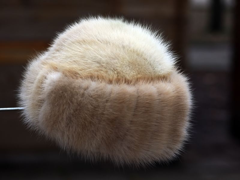 Protezione degli animali