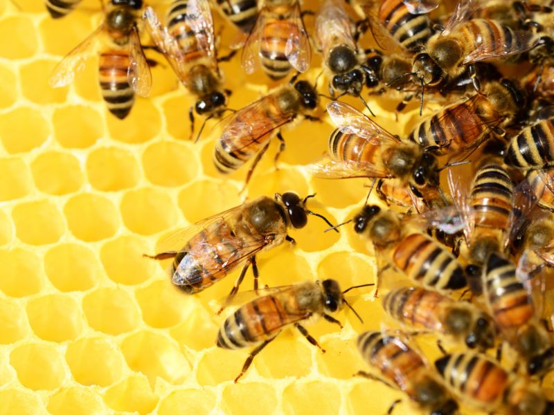 Api, in Alto Adige “controllano” la qualità dell'aria