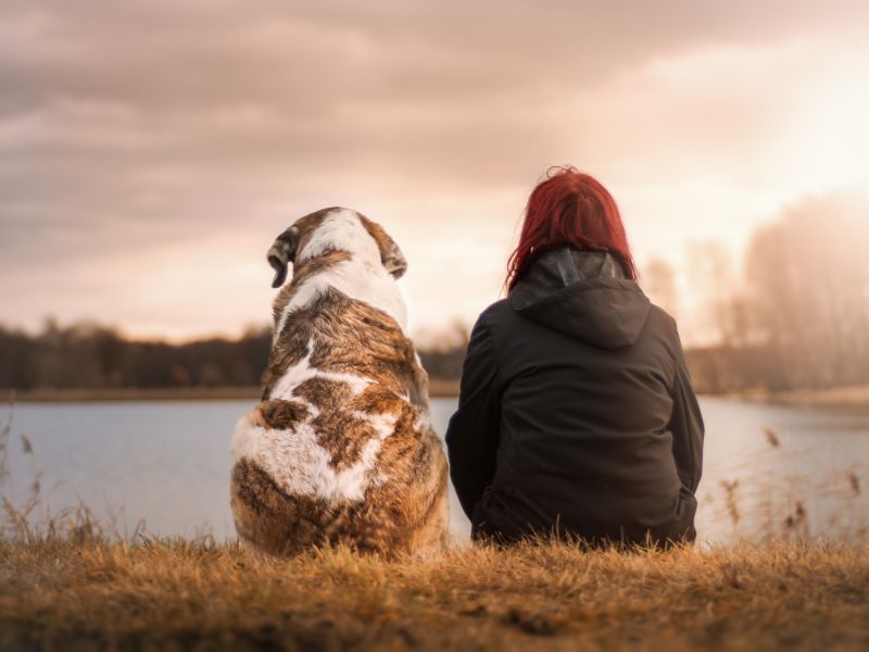 Pet e persone fragili: un legame importate per  l’88% degli italiani
