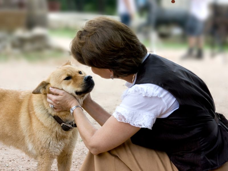 Cani e linguaggio