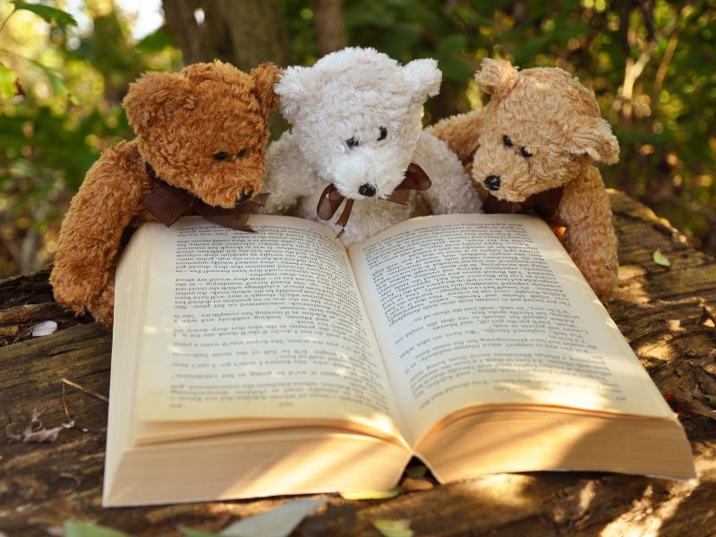 Animali, piccoli grandi eroi dei romanzi