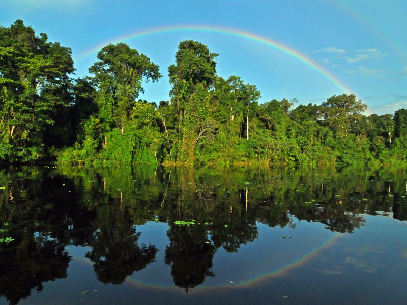 Scoperte 27 nuove specie nell’Amazzonia peruviana